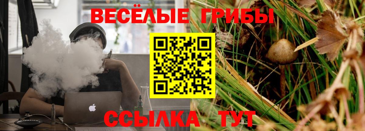 Псилоцибиновые грибы мицелий  Вход с VPN  Сибай  Псилоцибиновые грибы Psilocybe 