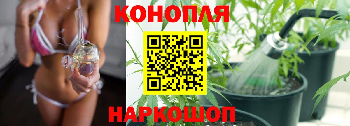 Шишки марихуана White Widow  Вход с VPN  Сибай  Шишки марихуана тримм  Конопля индика  Марихуана THC 21% 